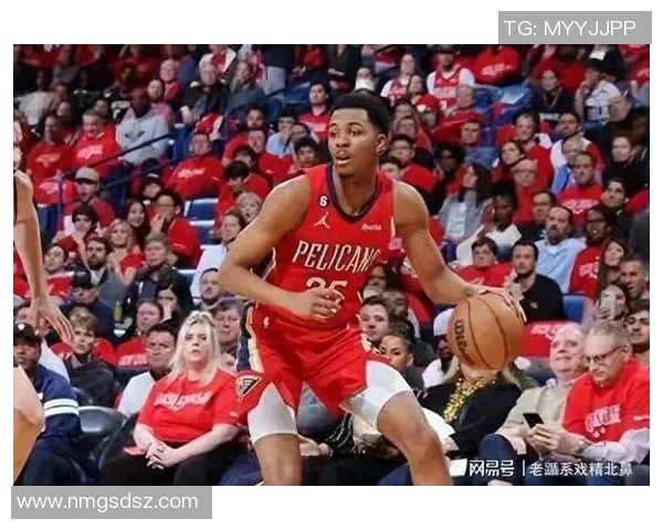 NBA战报：墨菲三世21分，鹈鹕116-112险胜黄蜂